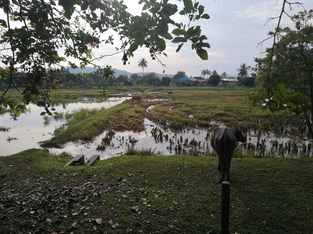 Homestay Barakah Cenang Langkawi Pantai Cenang  Luaran gambar